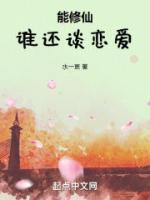 主人翁是顾远的