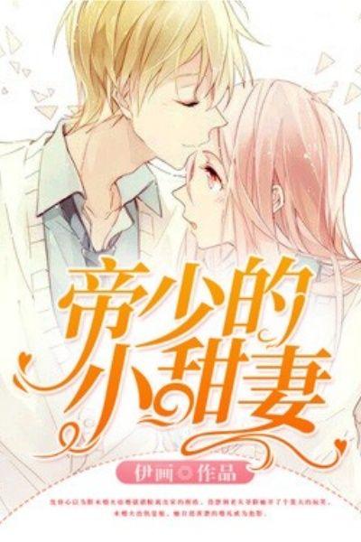 帝少霸宠小甜妻免费全文阅读