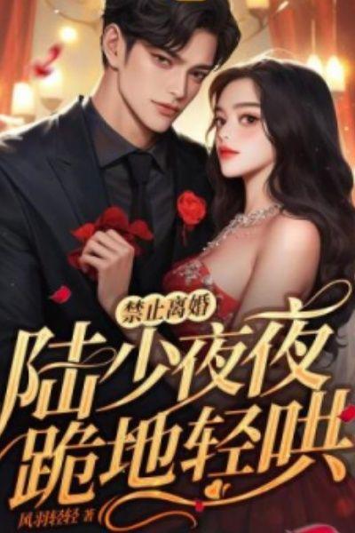 禁止离婚陆少夜夜跪地轻哄结局林萧结局