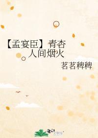 人间烟火孟宴臣和叶子