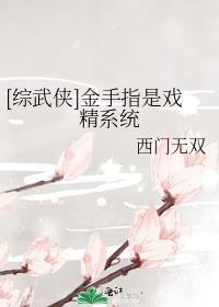 综金手指大全阅读