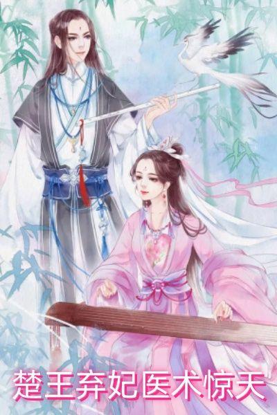 穿越楚王弃妃