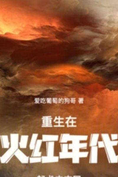 重生在火红年代免费阅读