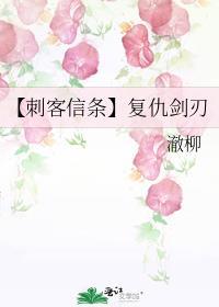 刺客信条4复仇女神号在哪