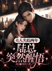 陆总突然醒悟免费阅读全文