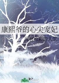 清穿之康熙的心尖宠