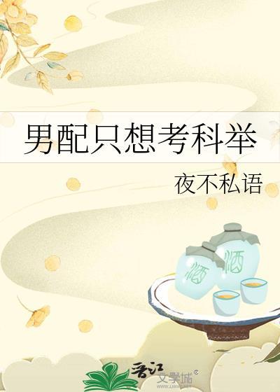 男配只想考科举 夜不私语