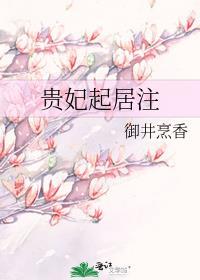 贵妃起居注原型是谁