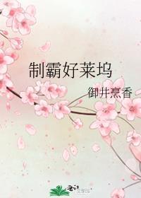制霸好莱坞是什么时候写的
