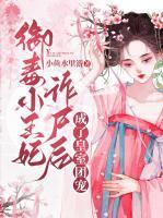 女主沈昭慕