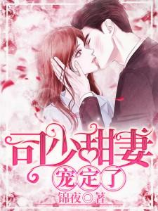 司少甜妻宠定了苏韵最后结局