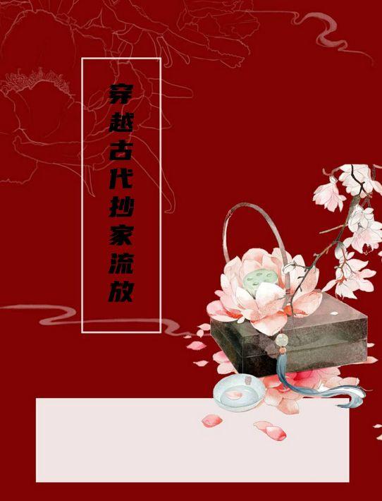 穿越到古代抄家的