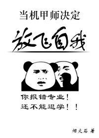 机甲师是什么意思