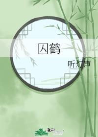 囚鹤by听灯全文