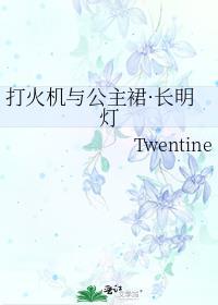 打火机与公主裙长明灯 简介