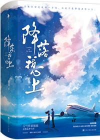降落我心上电视剧免费观看