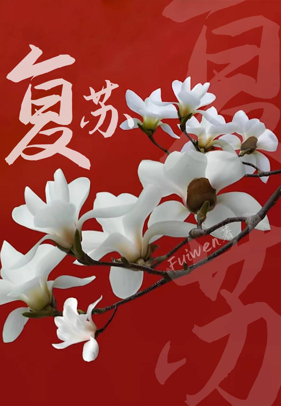 复苏的定义