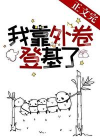不登基我很难收场作者红叶似火