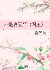 不是妻管严网王乐文