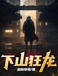 下山狂龙叶天免费阅读