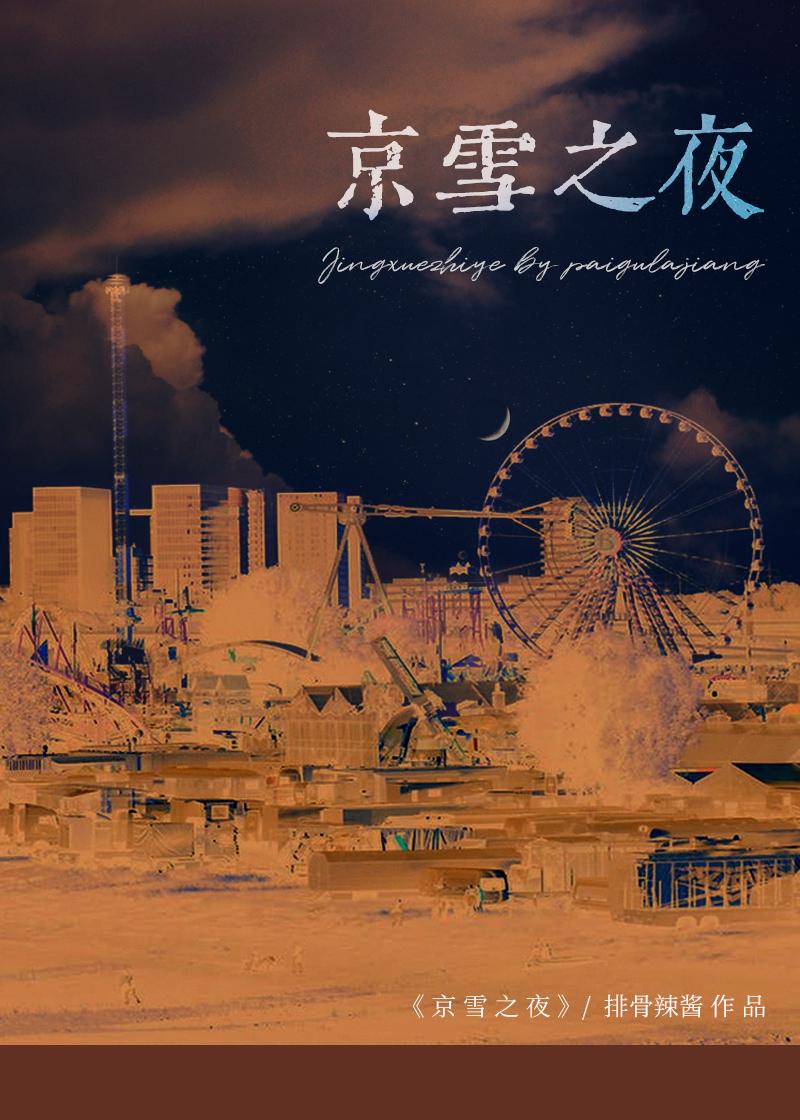 京雪之夜txt