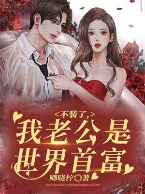 不装了我老公是世界首富书旗网