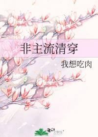 非主流清穿完结txt