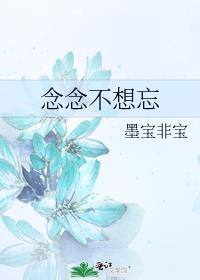念念不想忘墨宝非宝番外
