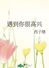 遇到你很高兴TXT
