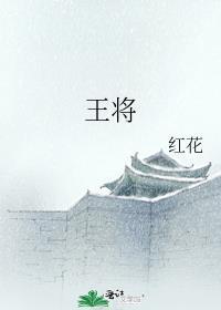 王将军