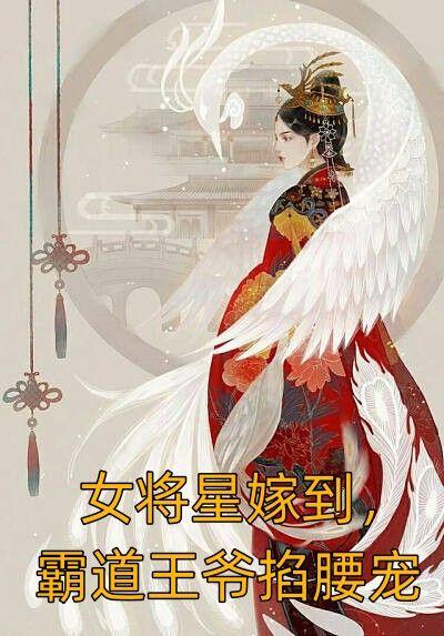 将军女嫁给王爷的