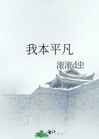 我本平凡人下一句是什么