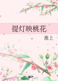 提灯映桃花29章微博截图笔趣阁