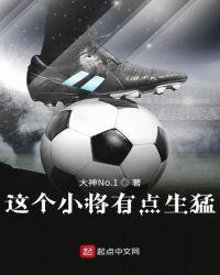 这个将军有点抠百度百科
