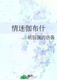 情迷布加迪什么意思