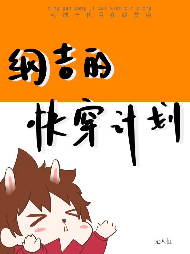 纲吉系统综