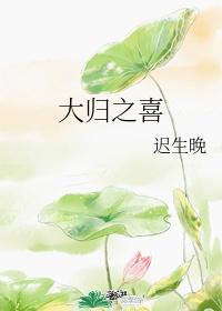 大归之喜txt