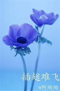 插翅难飞陆进沈初云免费