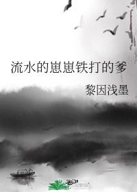 流水的崽崽铁打的爹2.0org