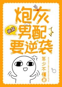 炮灰男配要逆袭年少