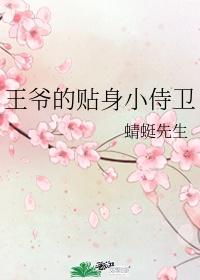 王爷的贴身侍卫TXT免费