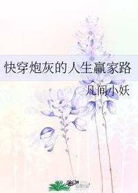 炮灰的人生