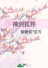 撞到狐狸是吉兆还是凶兆