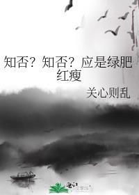 知否知否应是绿肥红瘦剧情介绍