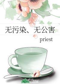 无污染无公害priest