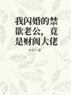 我的闪婚老公是总裁