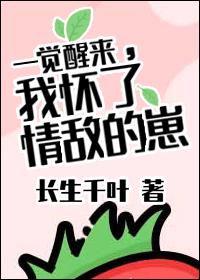 一觉醒我怀了宿敌的孩子