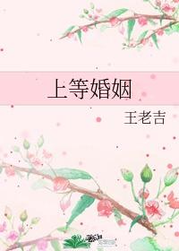 上等婚姻是什么意思