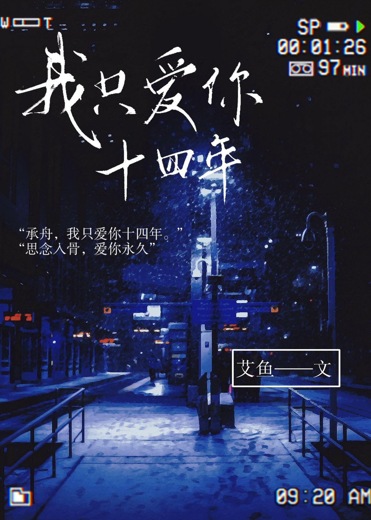 只爱你十四天