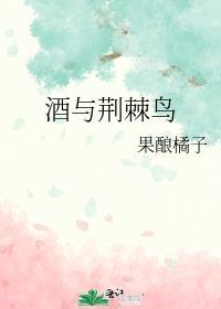 荆棘鸟 电视剧